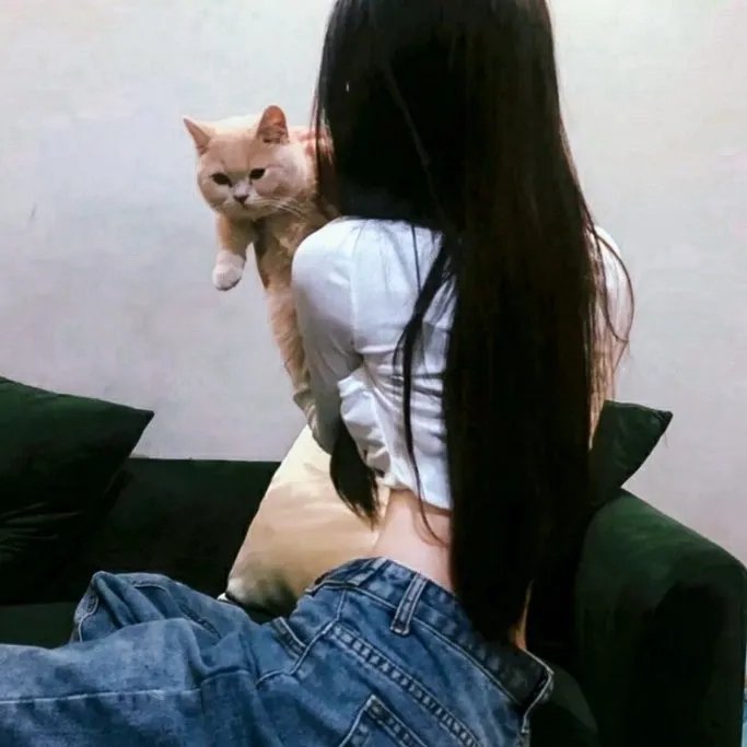 太空熊猫历险记
